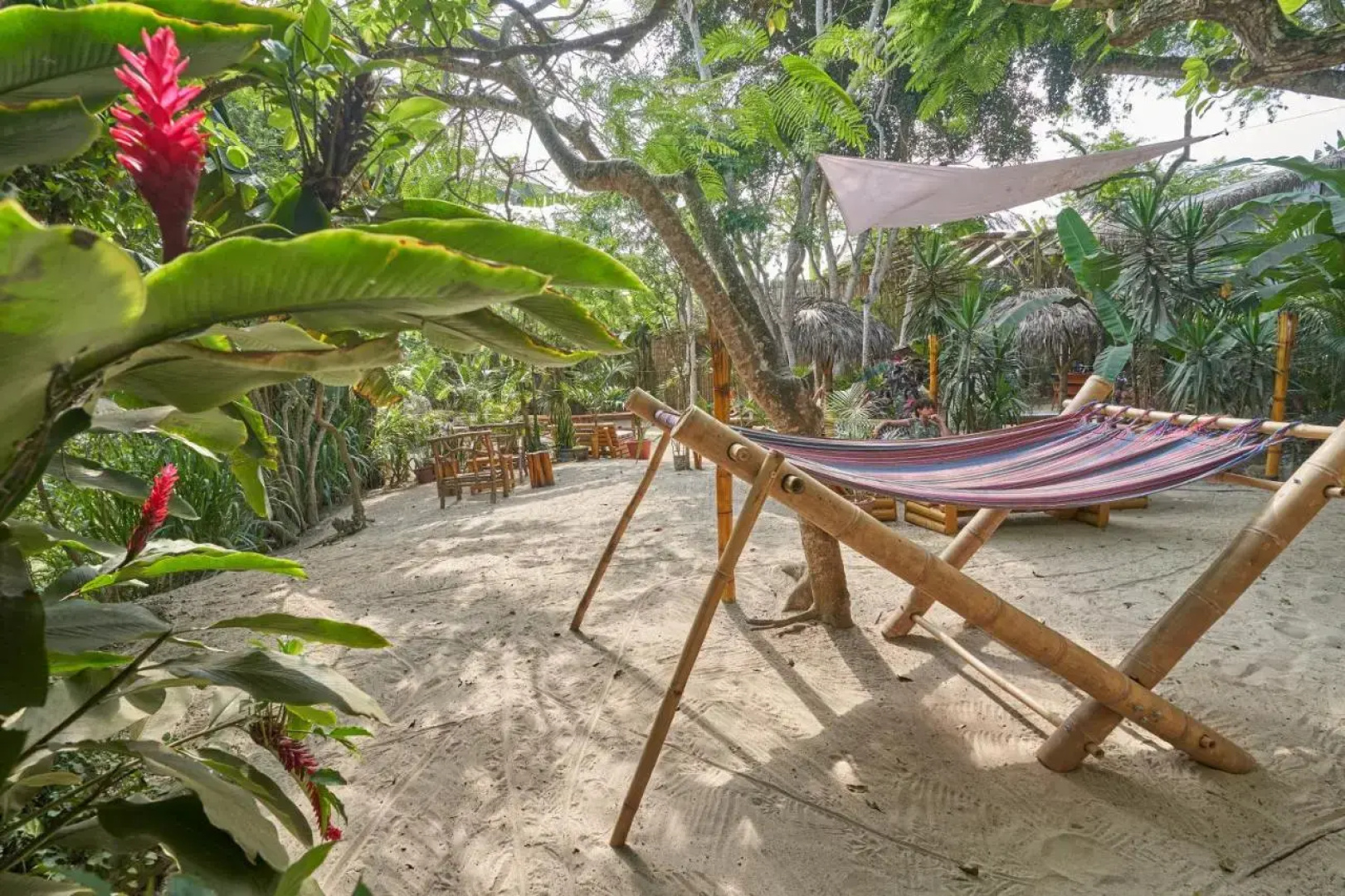 Hidden House Hostel