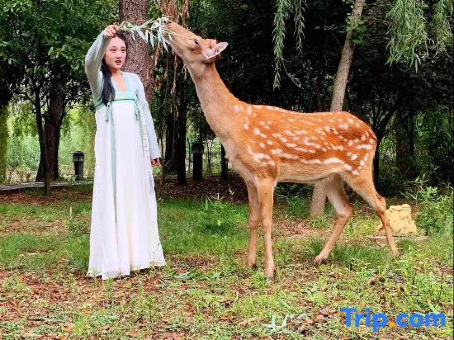 Guantang Hot Spring (International) Resort