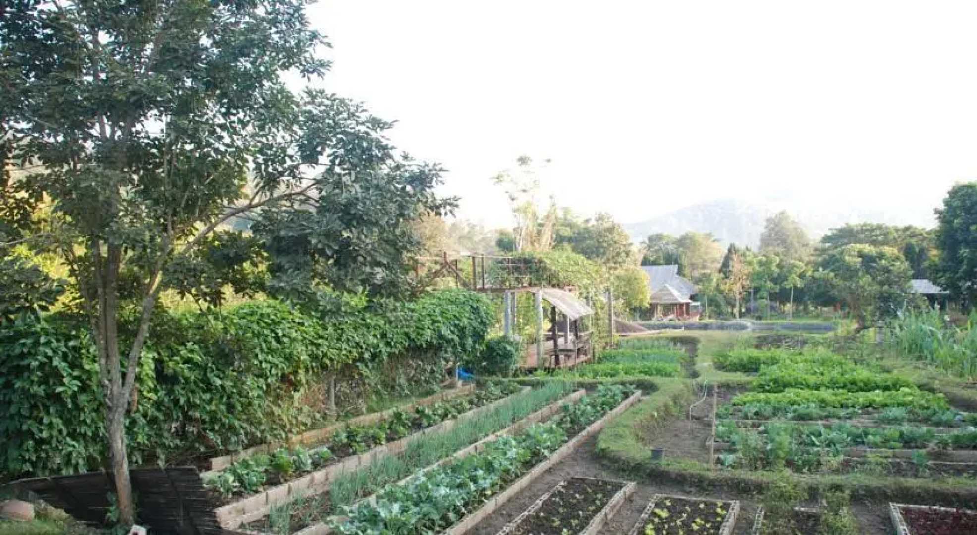 Baan Thung Lakorn Organic Farmstay by Phusompor