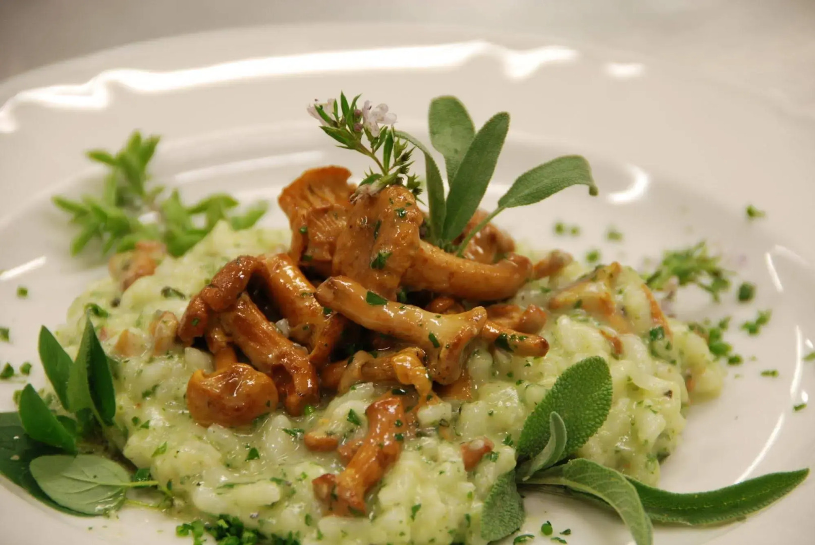 Hotel Schloss Sonnenburg