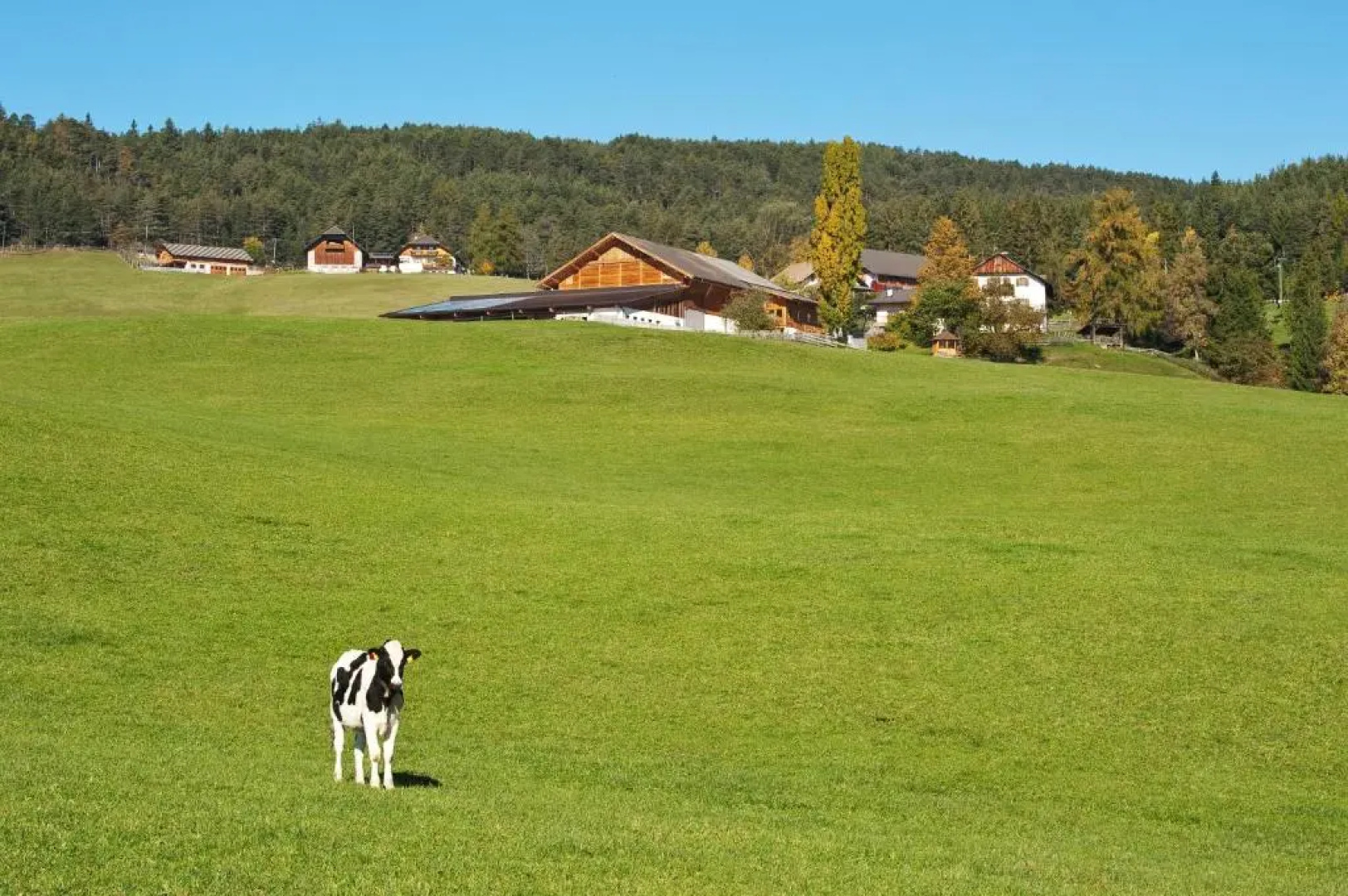 Unterpfaffstall-Hof