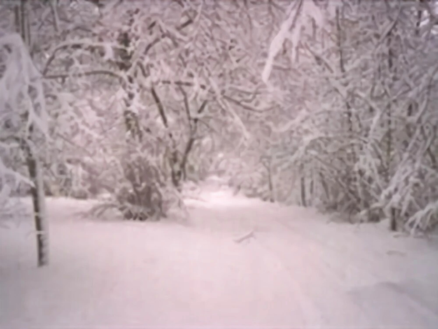 Brynhonddu Country House B&B