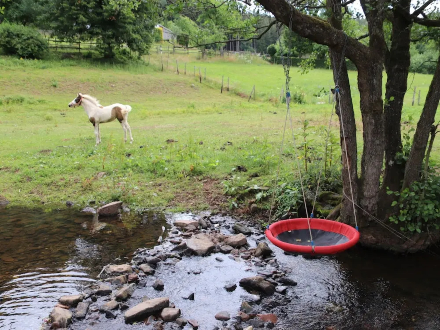 Apartment in Deudesfeld With Private Terrace