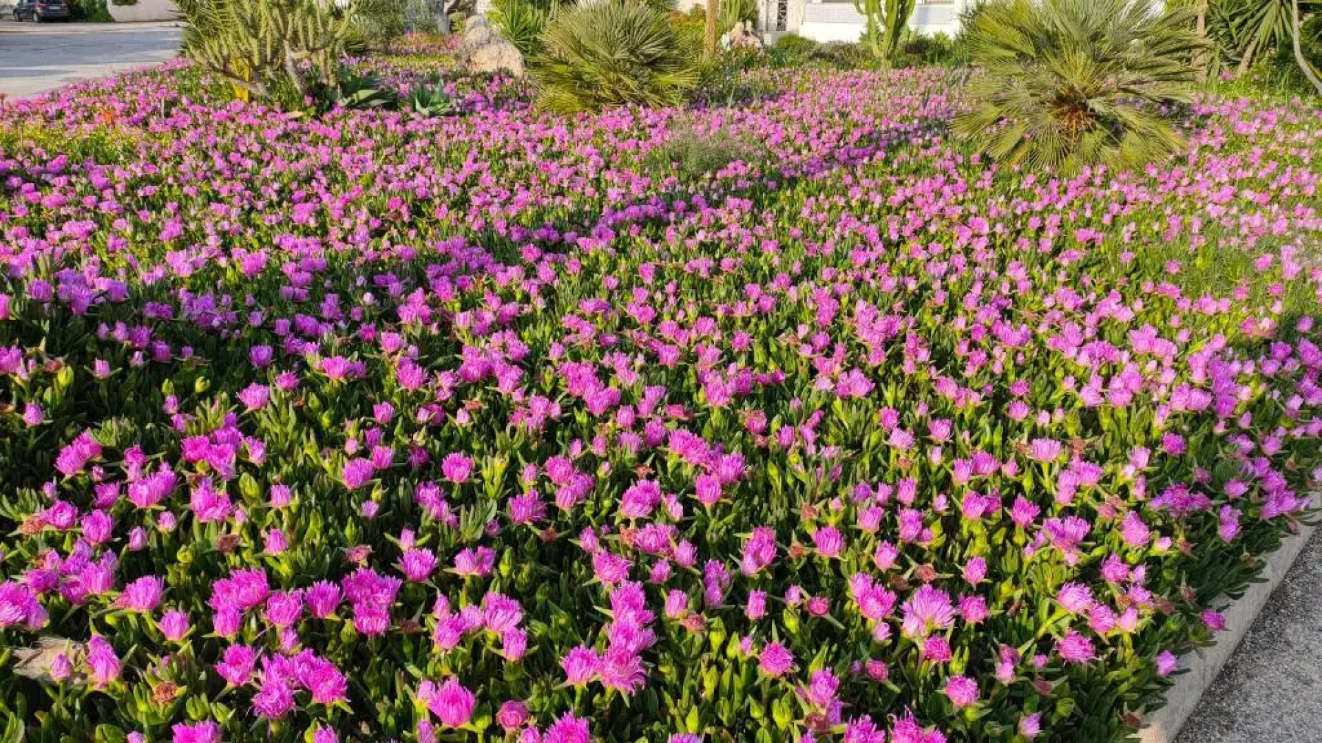 Casa en la Costa Playa del Cura
