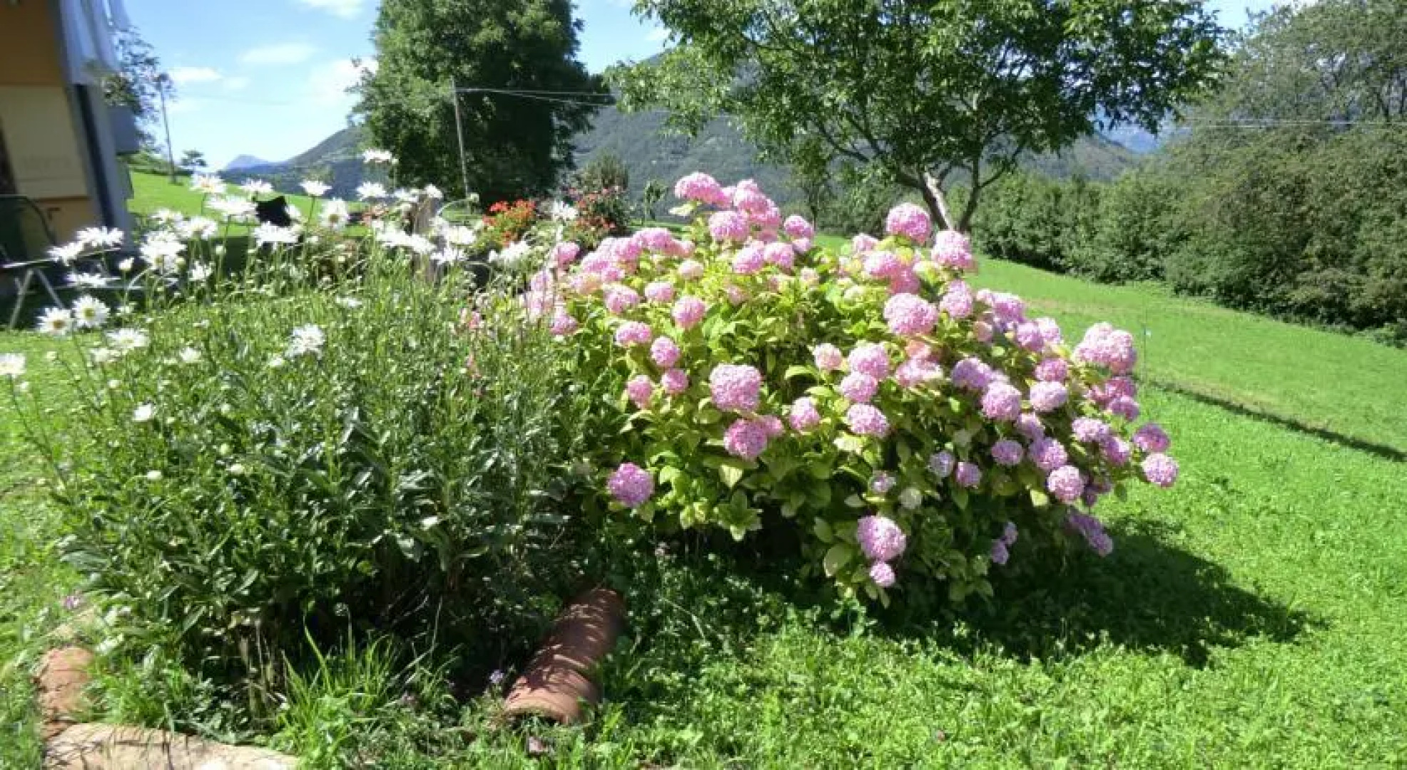 B&B La Casa Di Parpaet