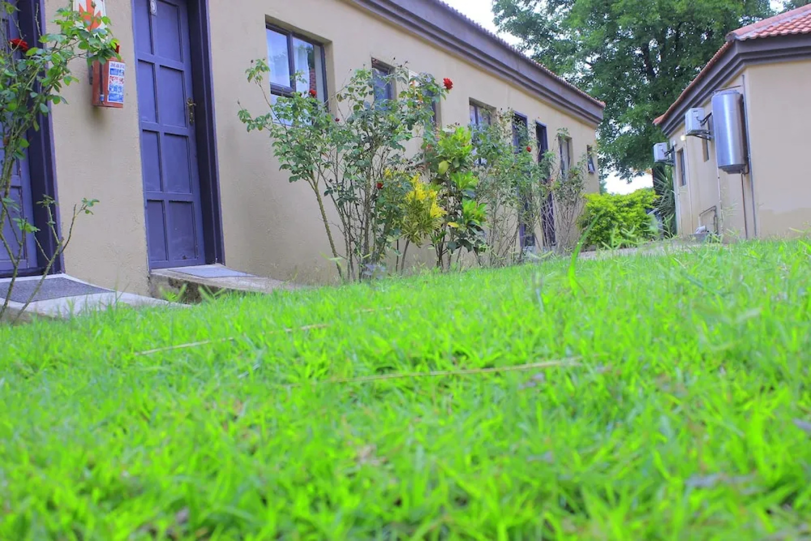 Travel Link Guest House