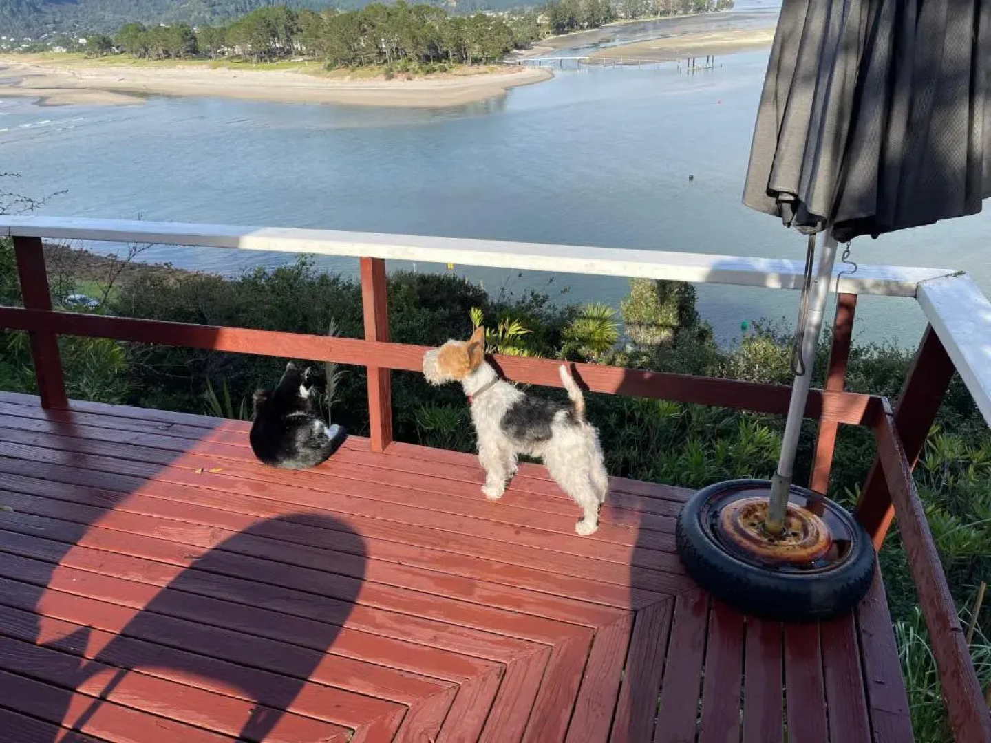 Tairua Treasure