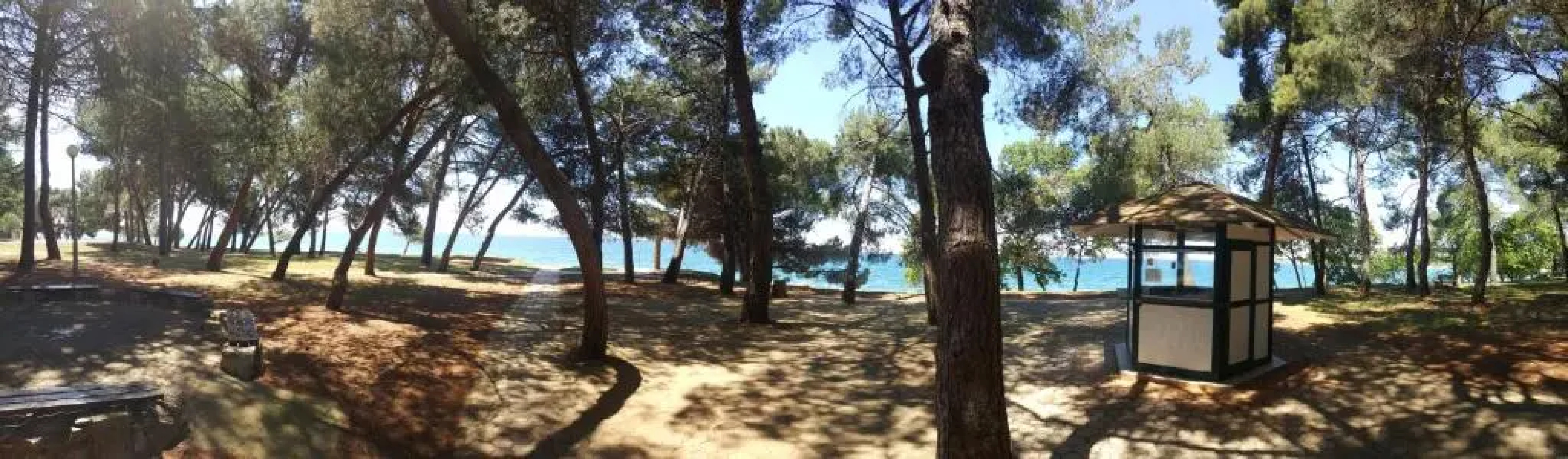 Youth Hostel Pinesta