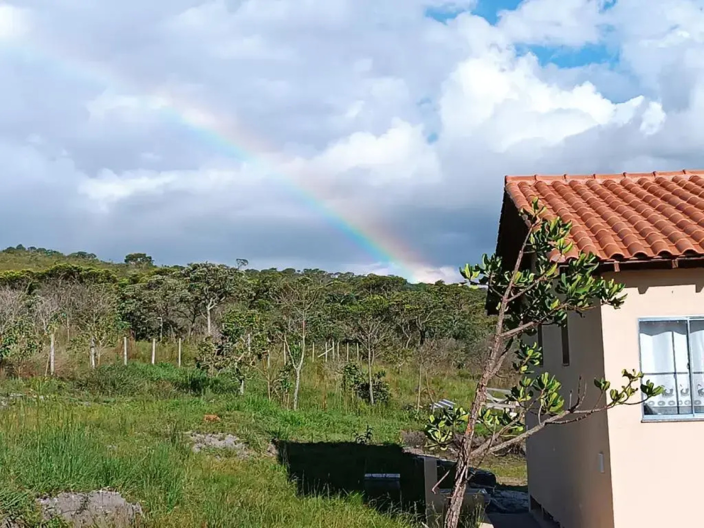 Toca Dos Coelhos Chales