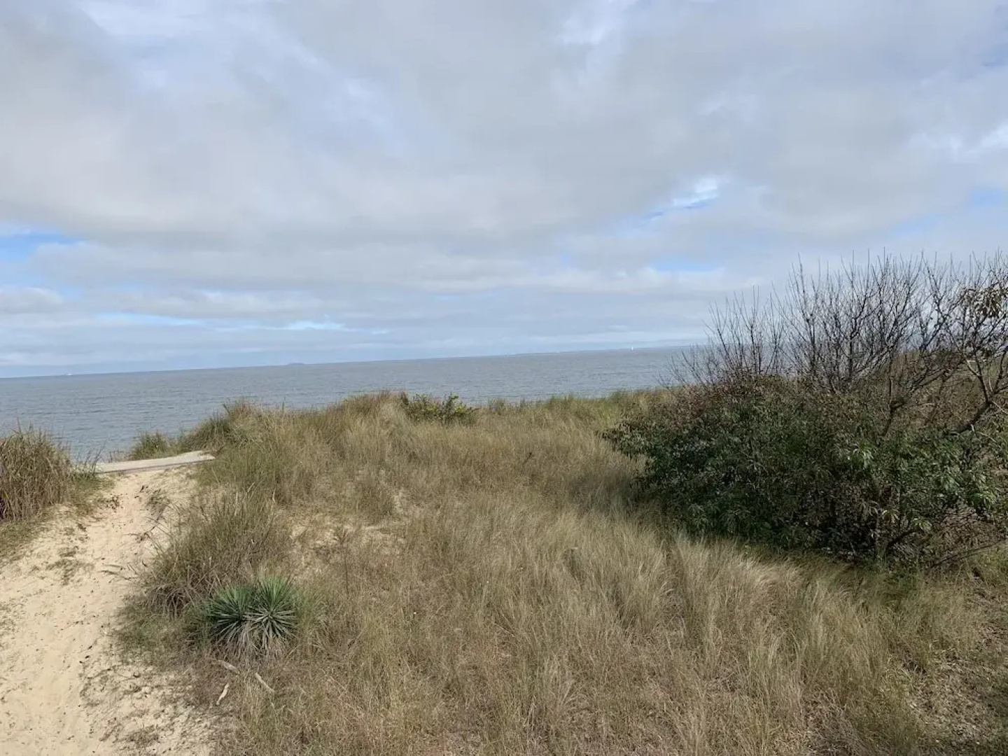 Sandy Dunes At The Beach - Beachfront, Wi-fi, Pets 3 Bedroom Home by RedAwning