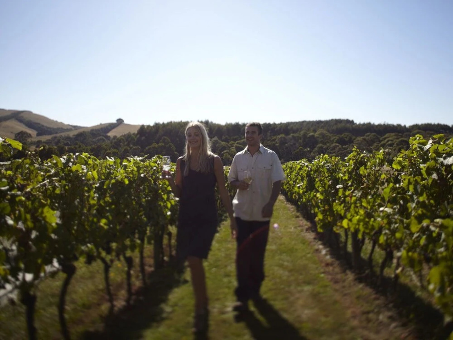 Prom Coast Apartments