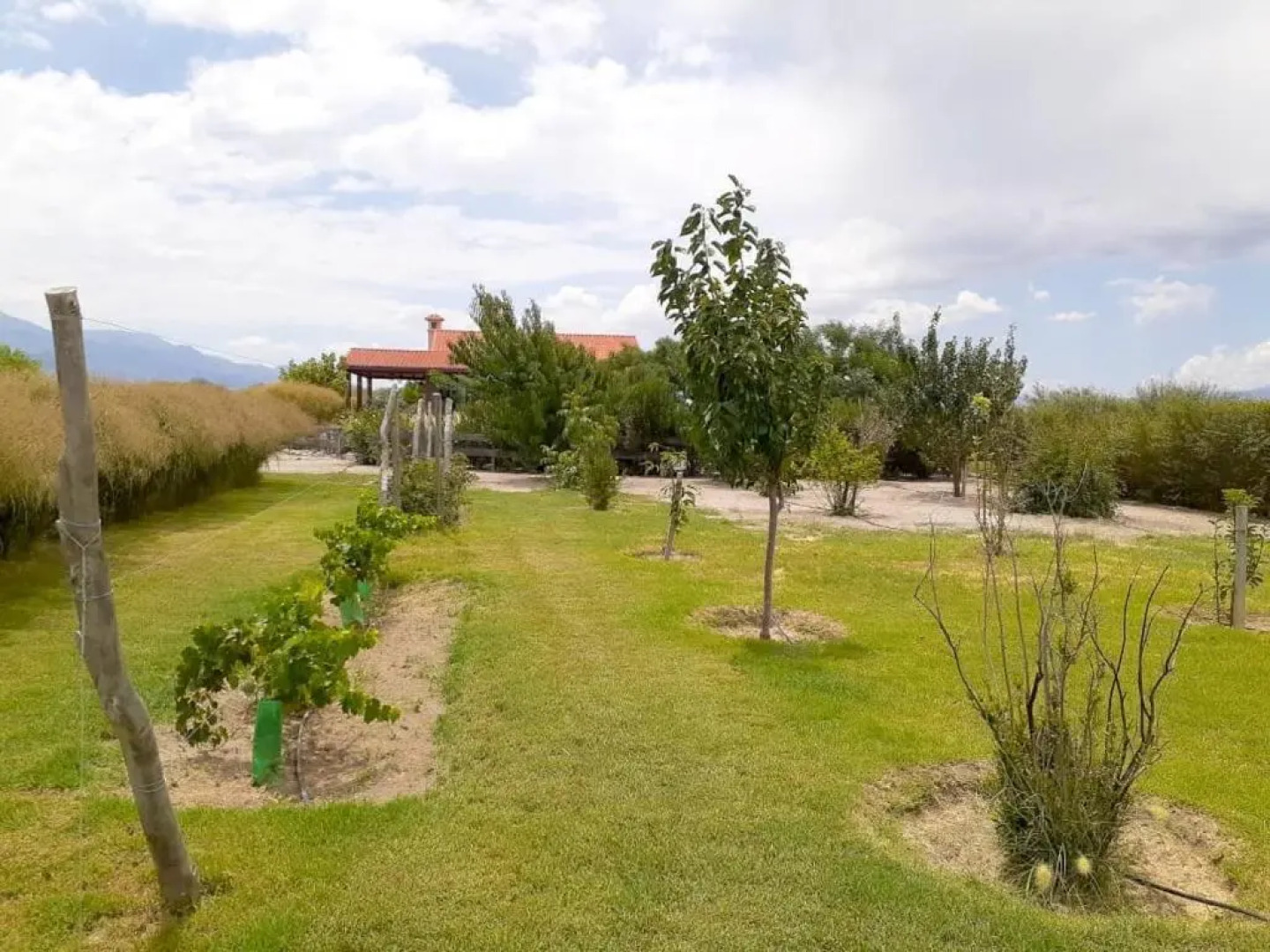 Casa Mistol by Cafayate Holiday