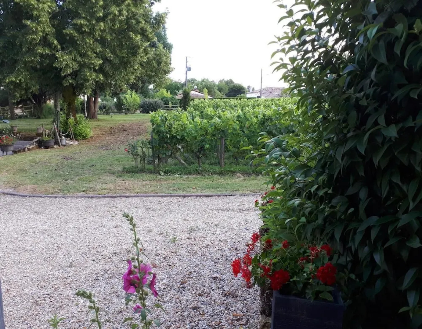 Château Vieux Mougnac