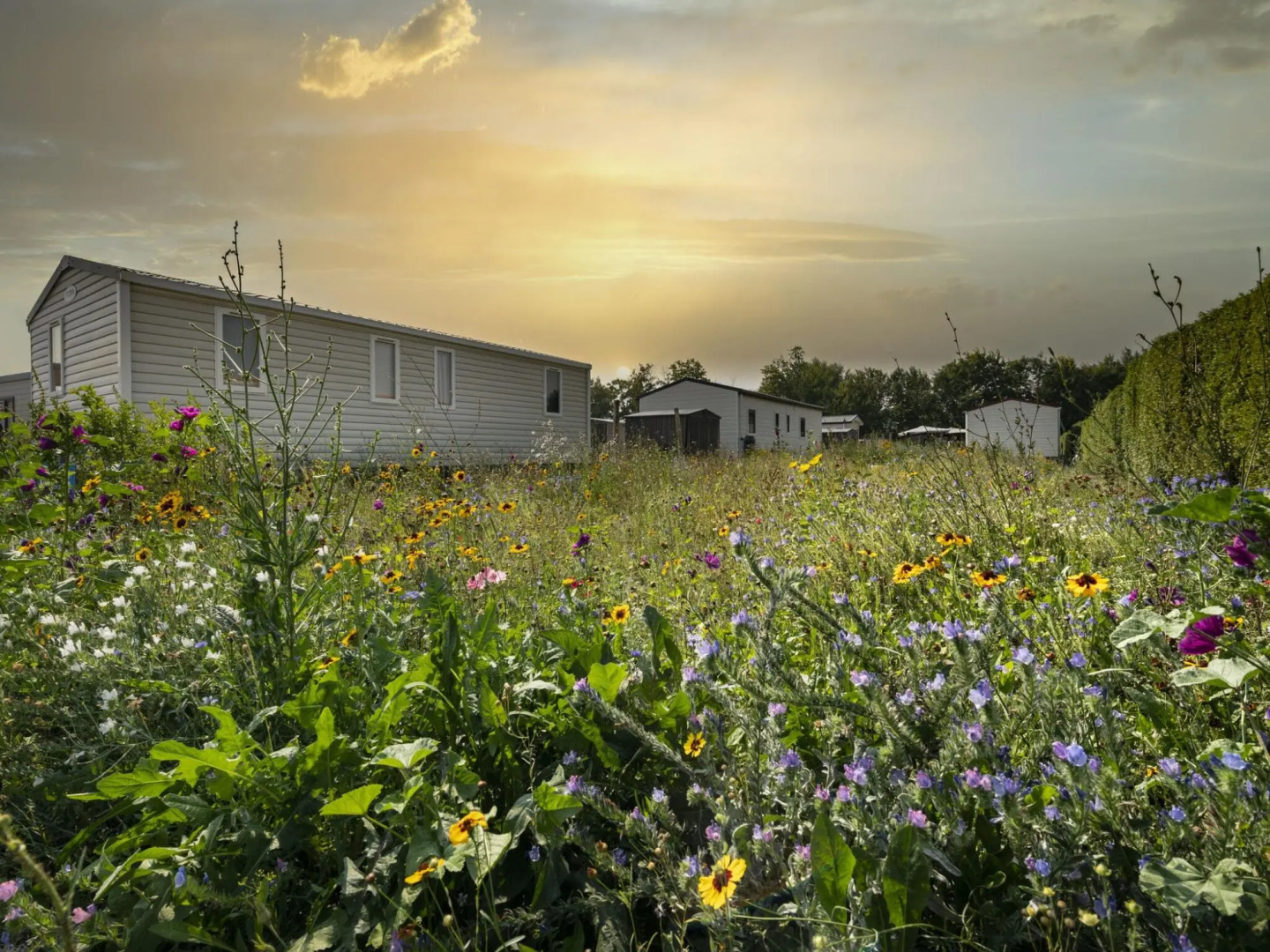 Well-kept chalet with air conditioning, on a holiday park, 1 km. from the beach