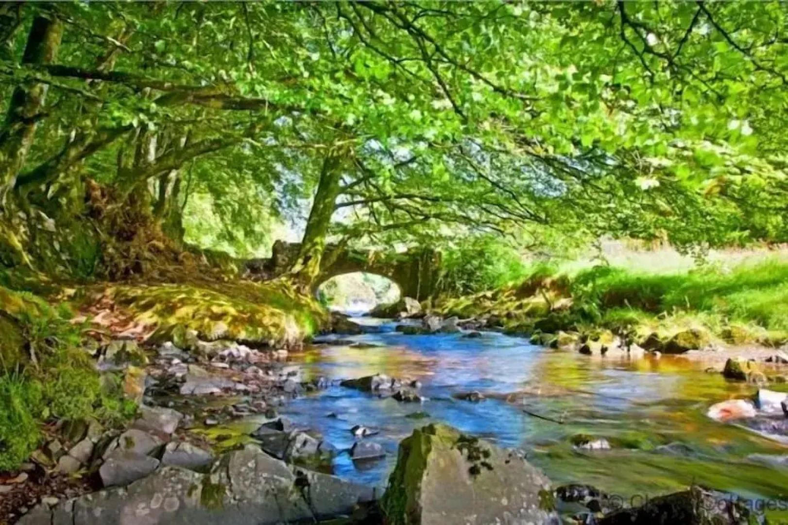 Westward Ho!me 5 Bedrooms