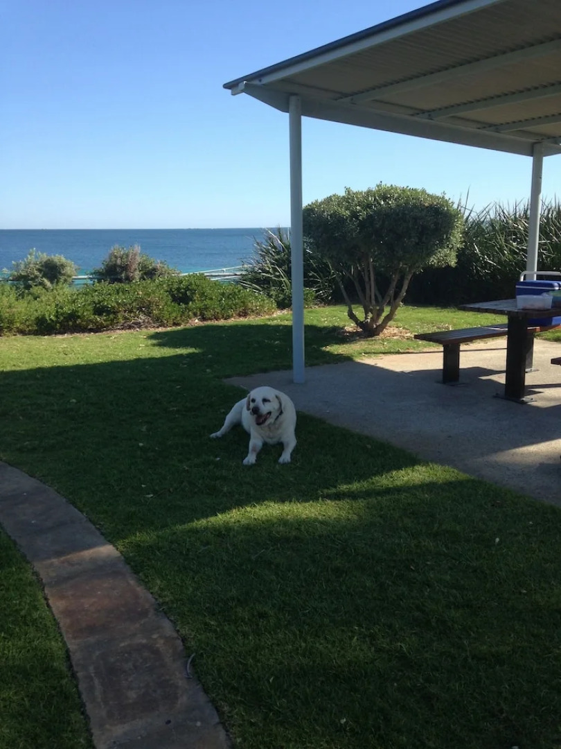 Safety Bay Guest House