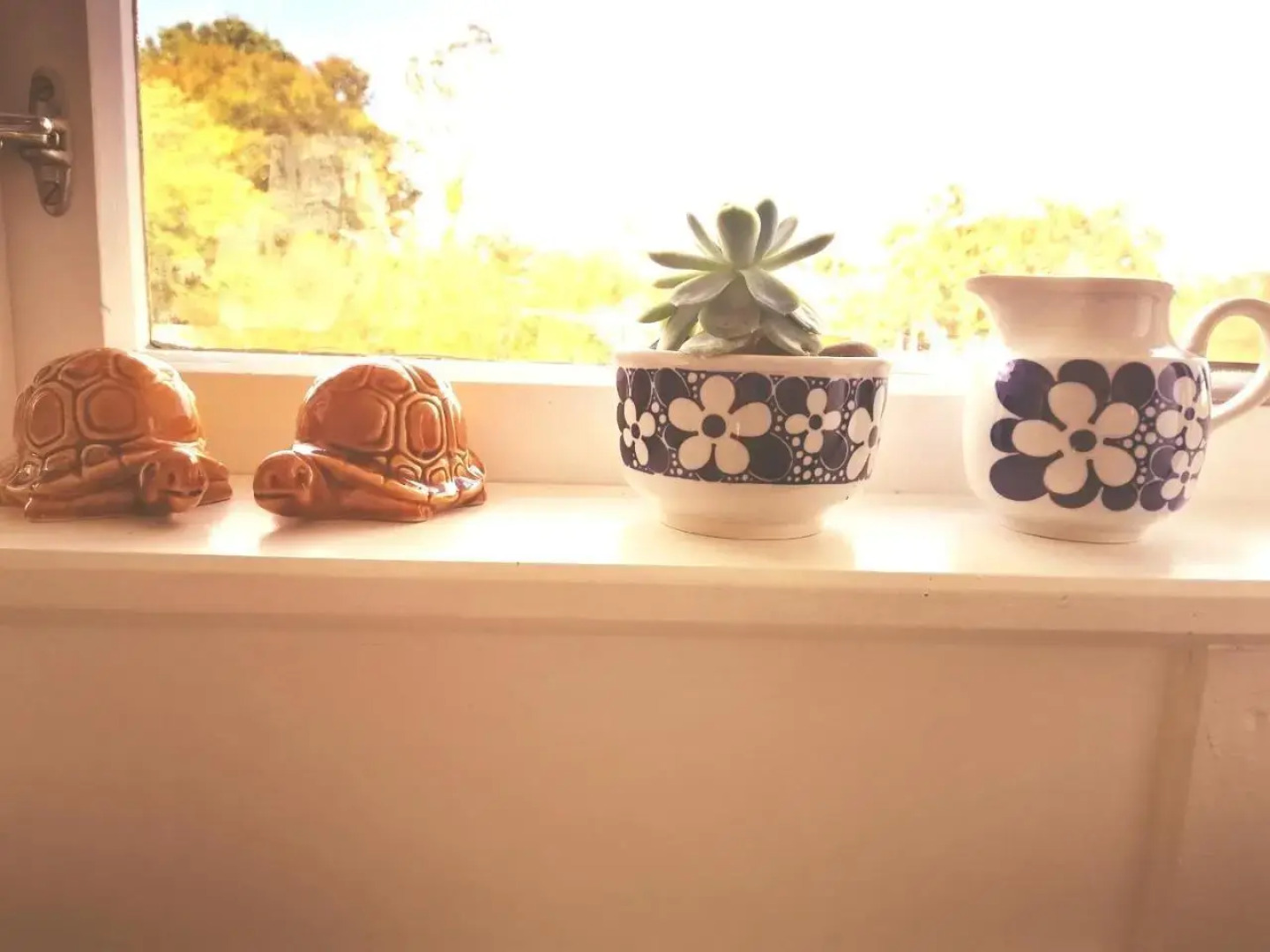 Super Central Cosy Greytown House with Garage