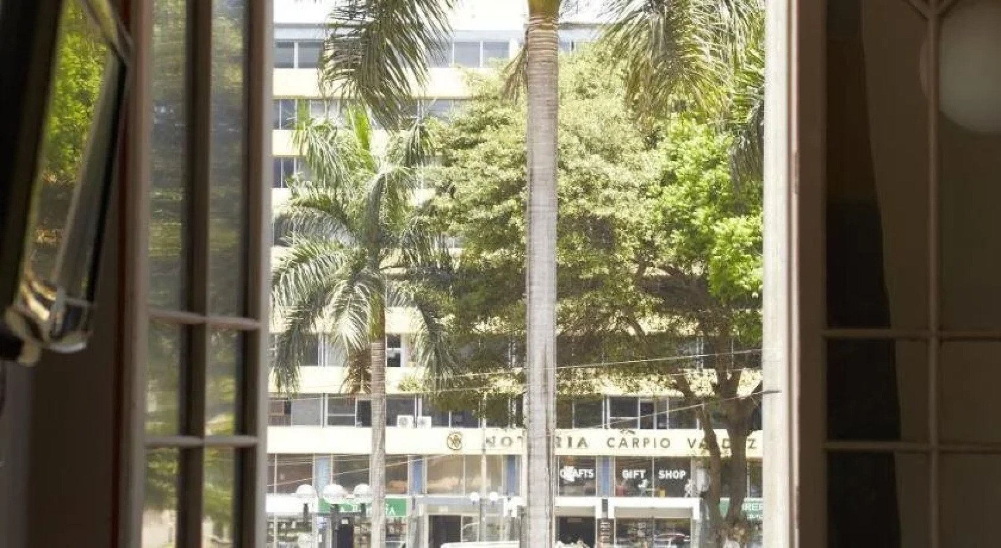 Flying Dog Backpackers Hostel