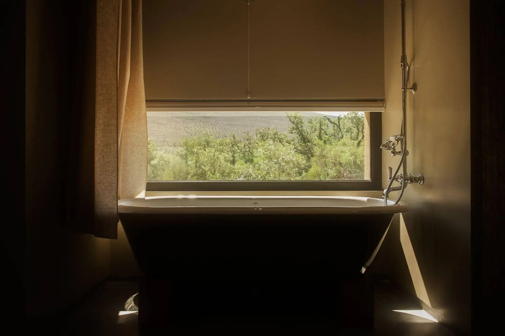 Cooking and Nature Emotional Hotel