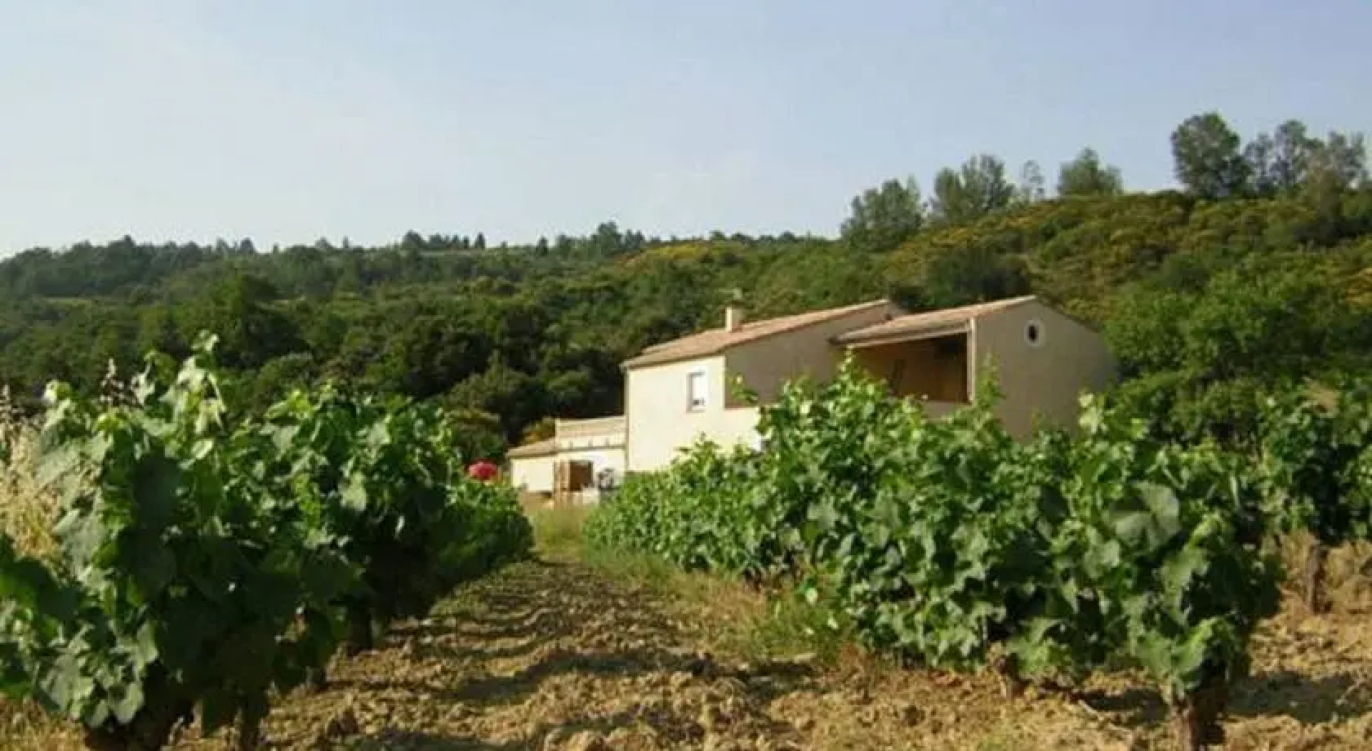 Le Gite Du Vigneron