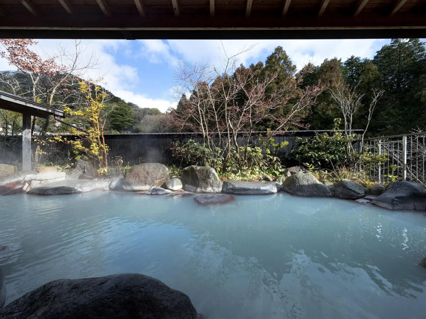 Hotel Seiunso