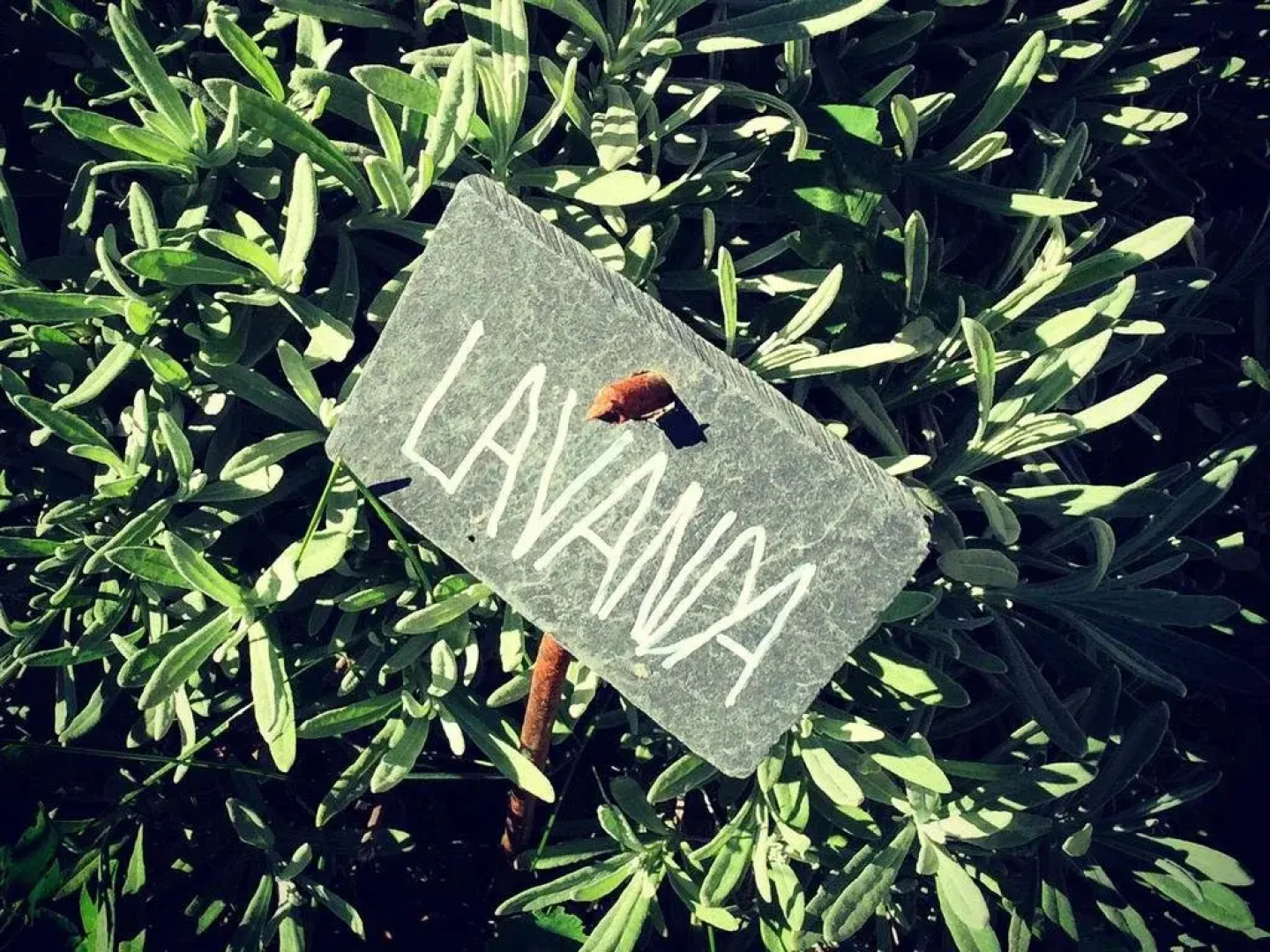 Agriturismo L'A Ceccoli