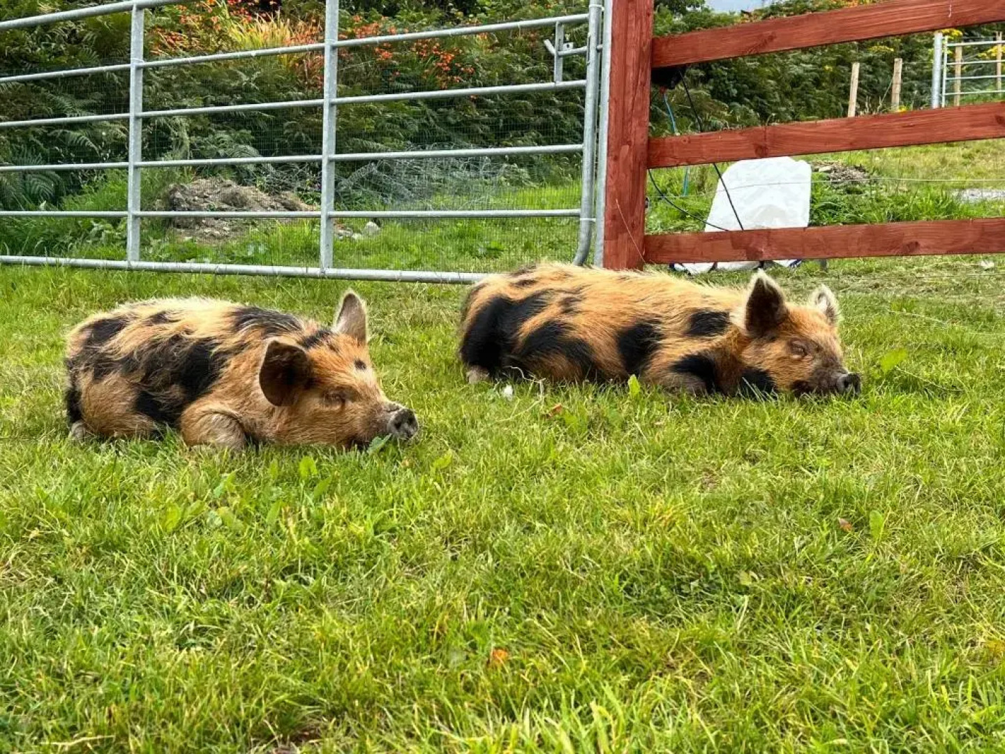 Valentia View (Adults Only)