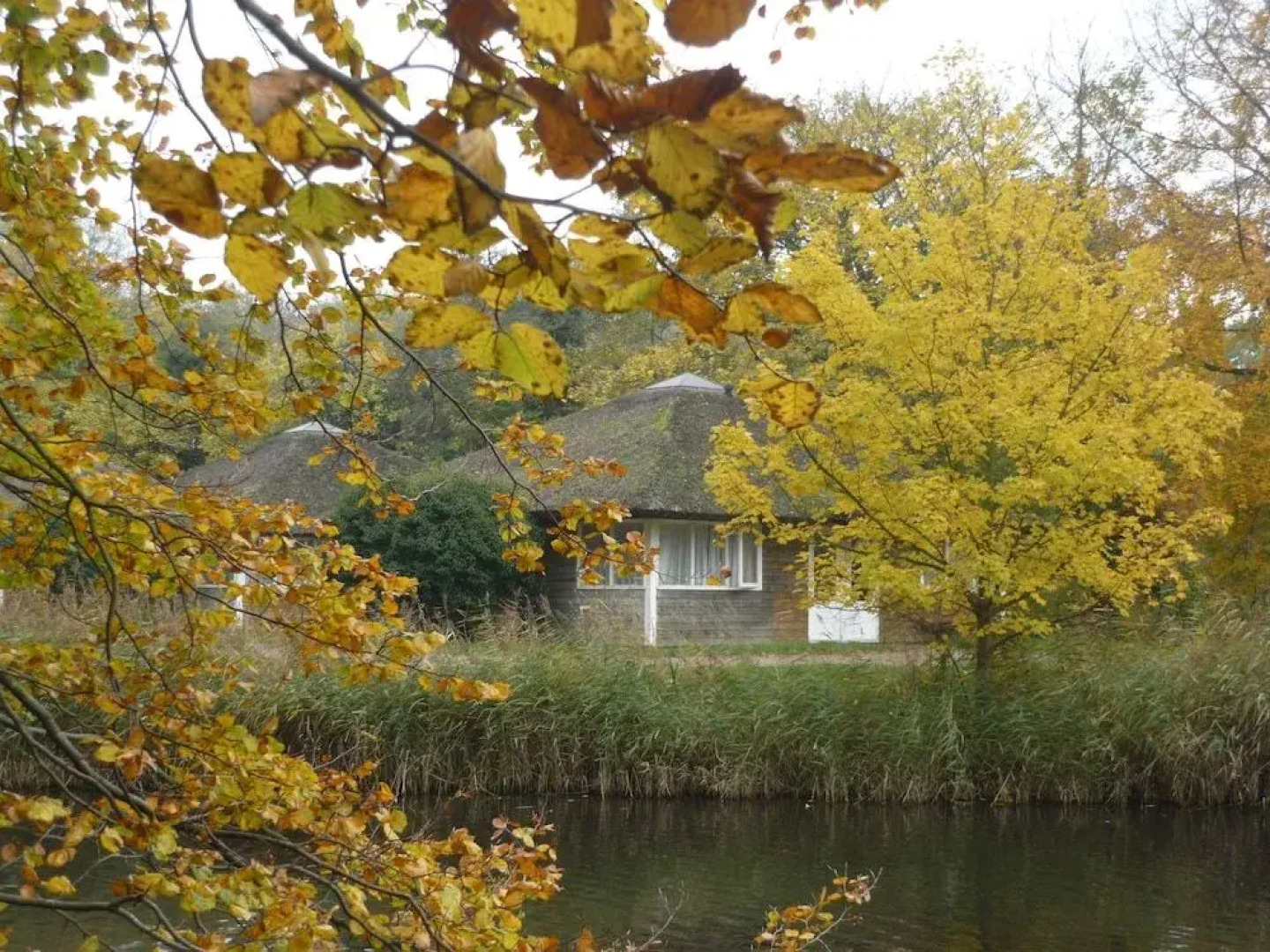 Green White Hotel Restaurant