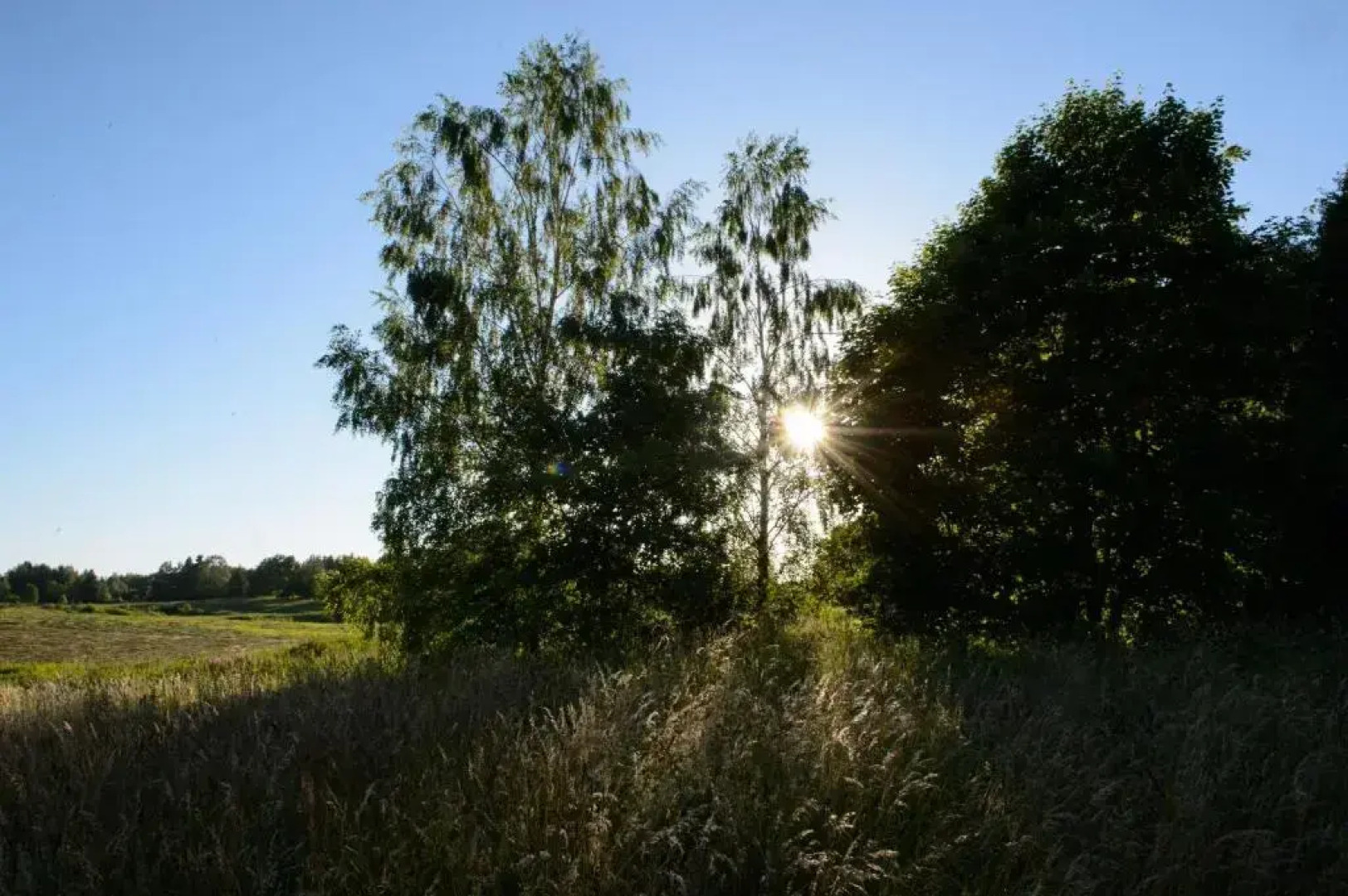 Vasekoja Holiday Home