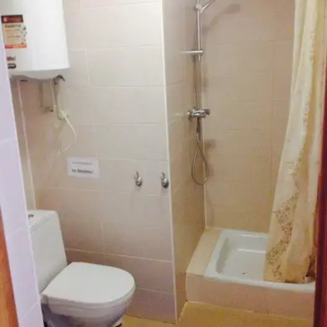 Золотой лев