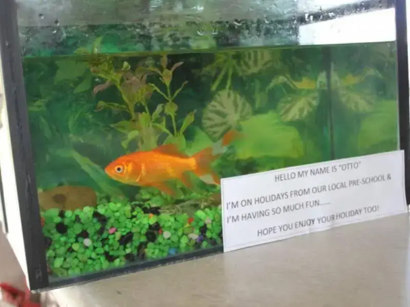 Reflections Bermagui - Holiday Park