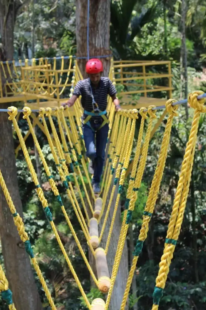 The Windflower Resorts & Spa