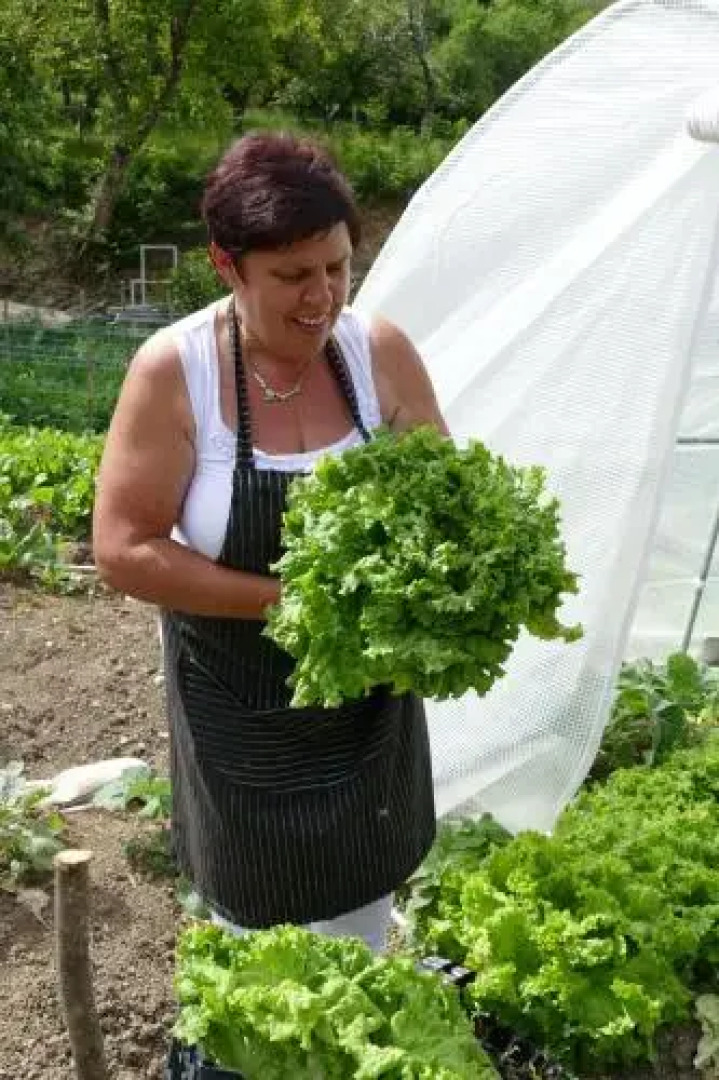 Tourist farm Pri Andrejevih