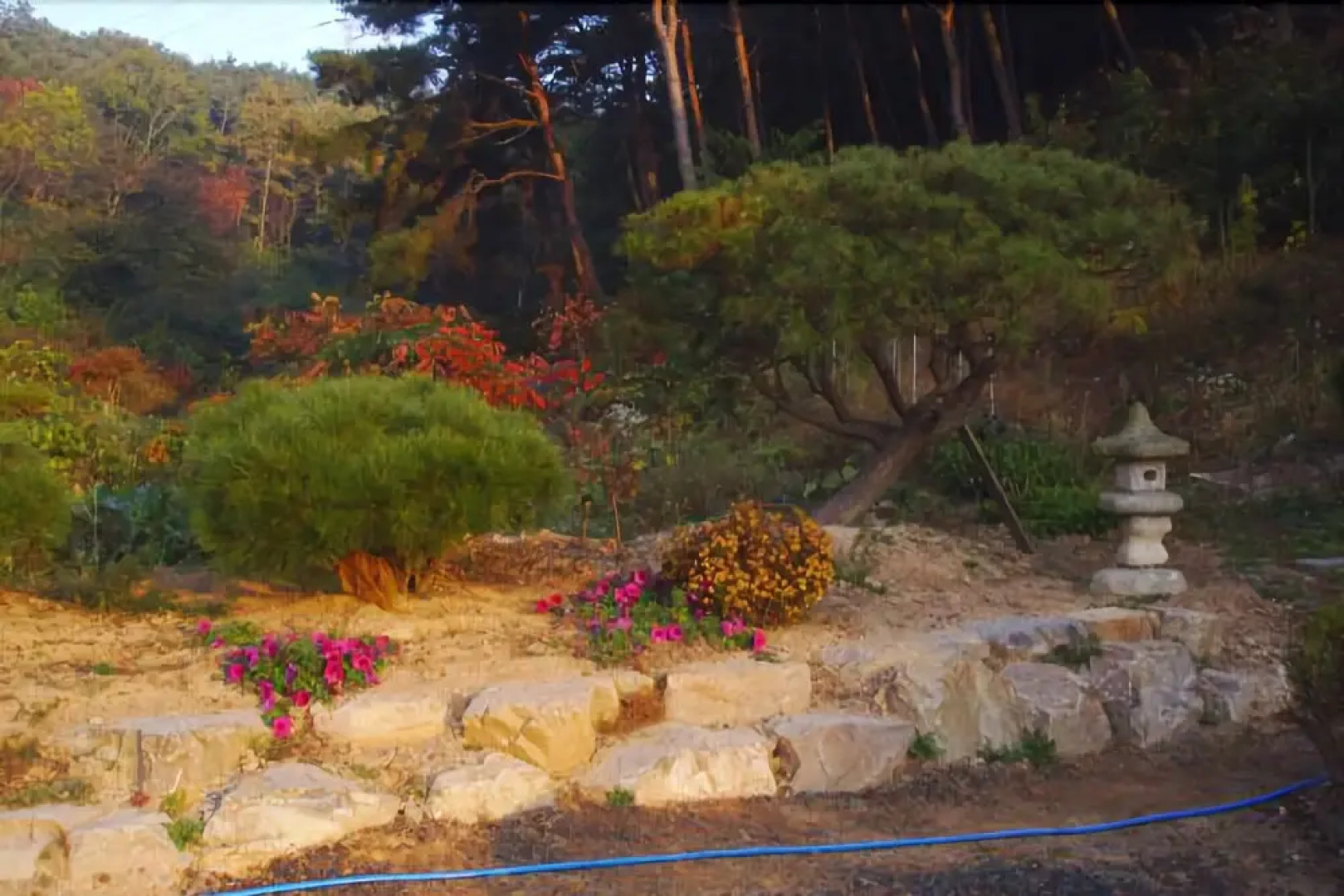 Seosan Pinehealing Pension