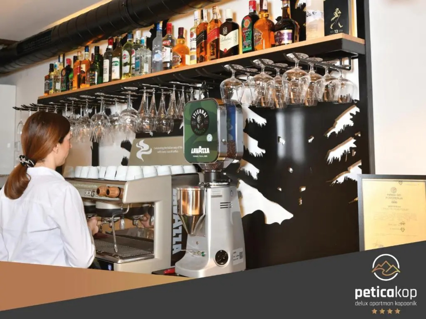 Apartman Petica Kop A8 Kopaonik