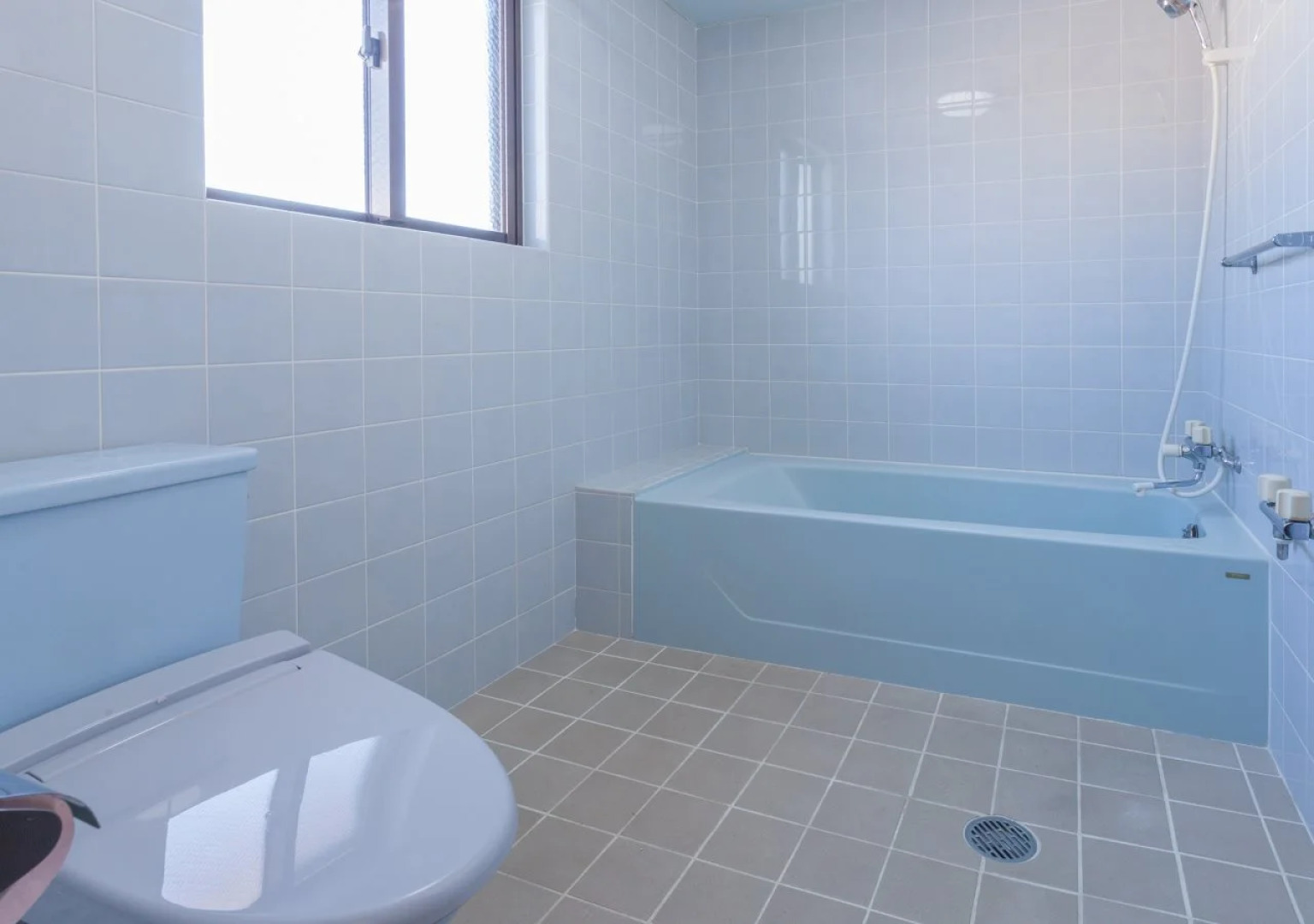 Kariyushi Condominium Mezon Max