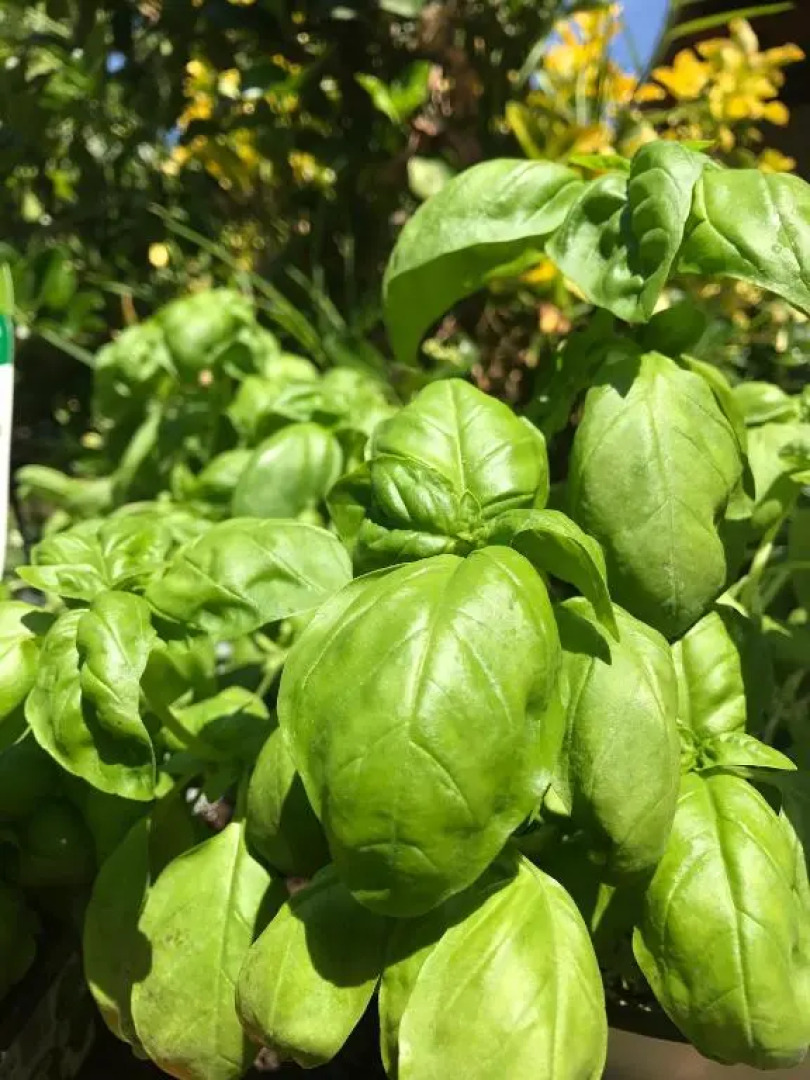 Stunning Sicilian Villa