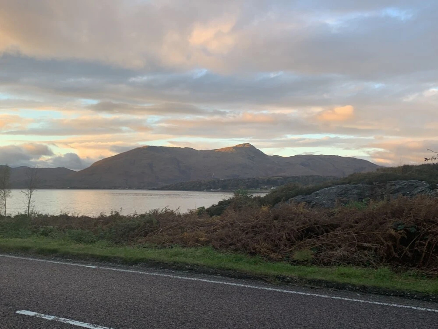 Lovely 1-bed Cottage in London