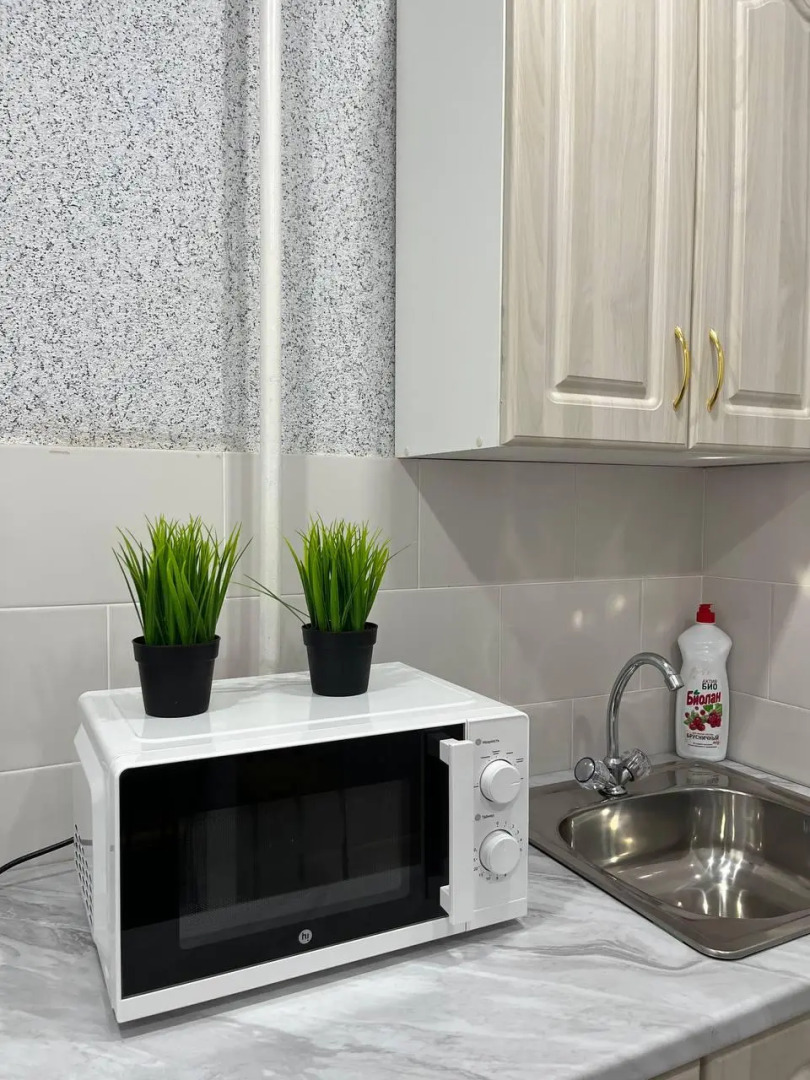 Апартаменты на улице Пушкина