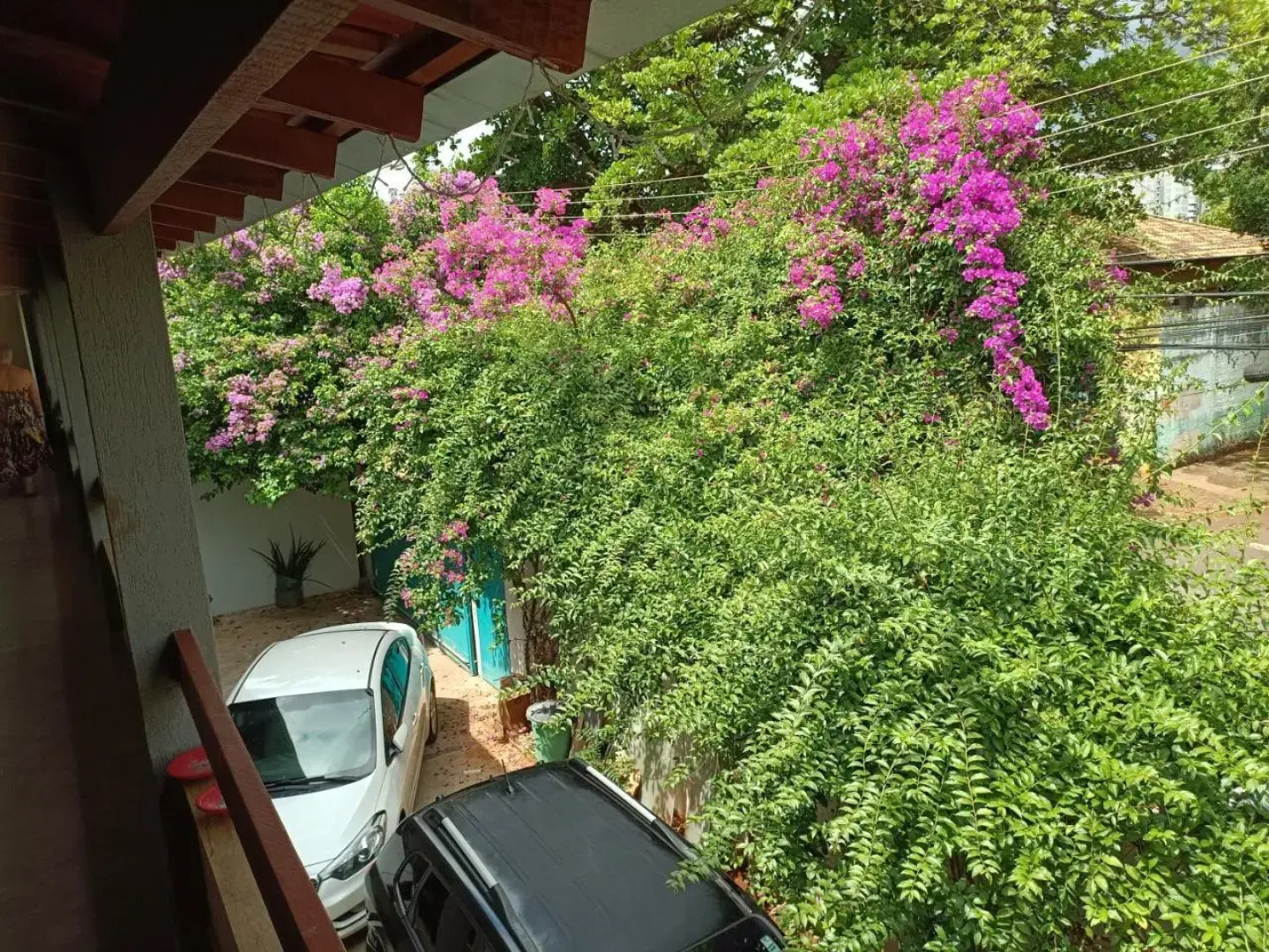 Alpha Hospedaria & Hostel