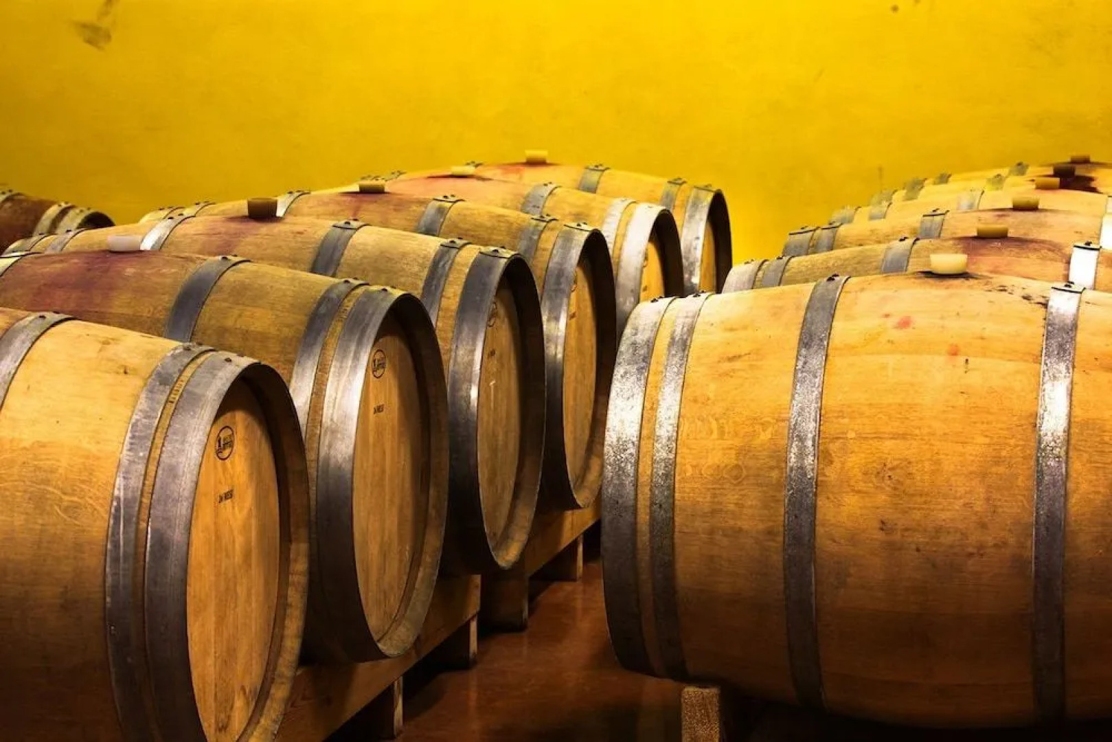 Eco Bio Agriturismo La Bella Vite - Camere Con Vigna