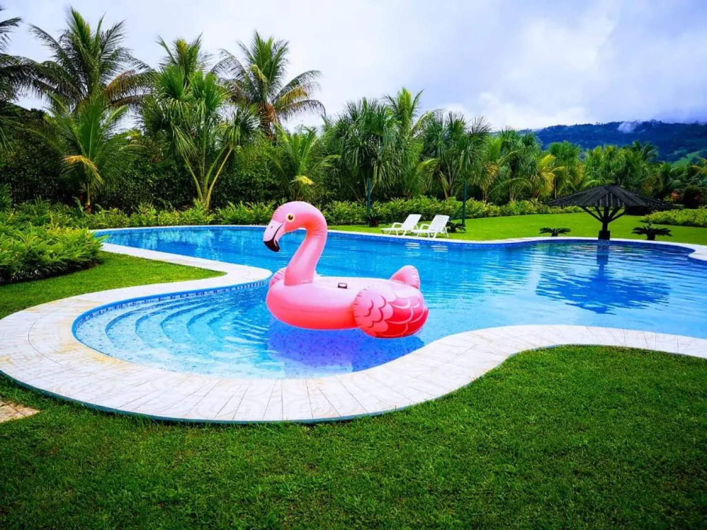 Los Aguajes de Sauce