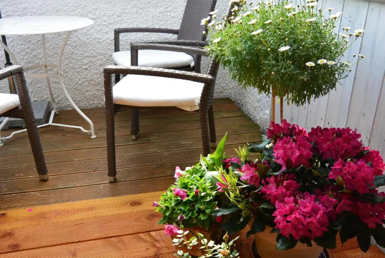 3-Zi Atelierdachwohnung mit Bergblick Seenähe und 2 Loggia