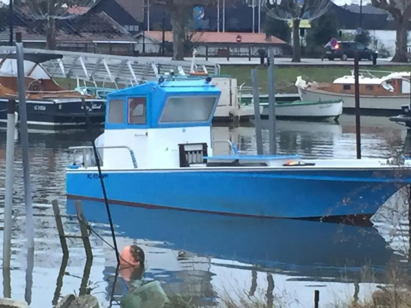 Les Hippocampes (Adults Only)