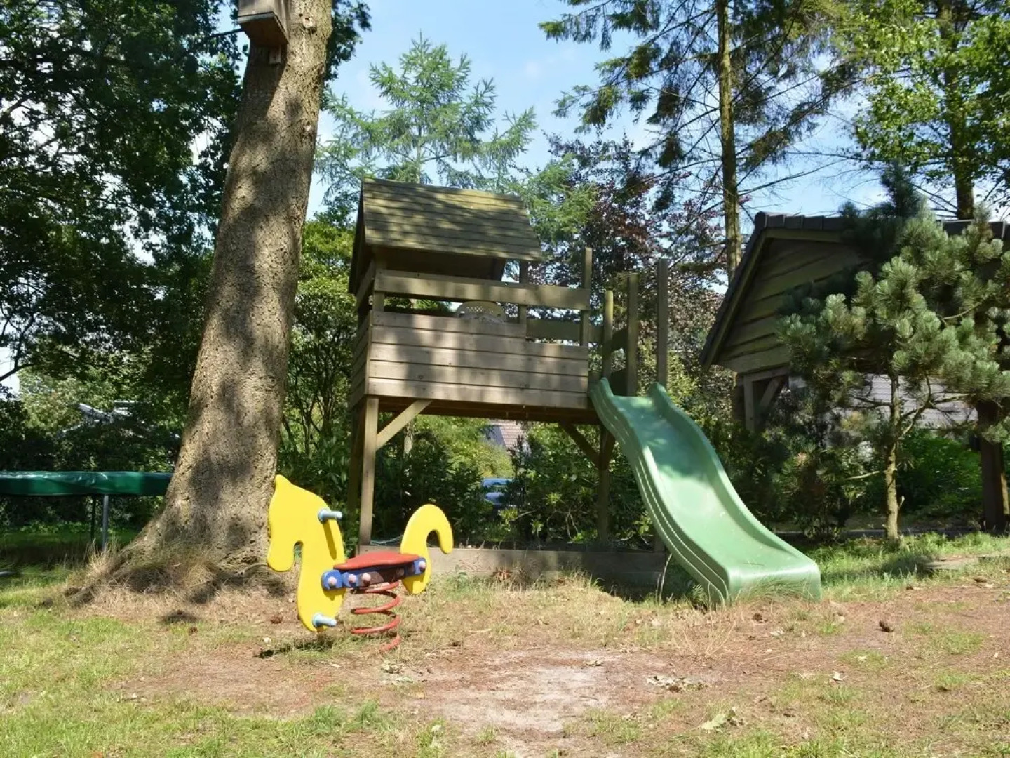 Cozy Cottage With Large Garden in Nature Reserve Dwingelderveld
