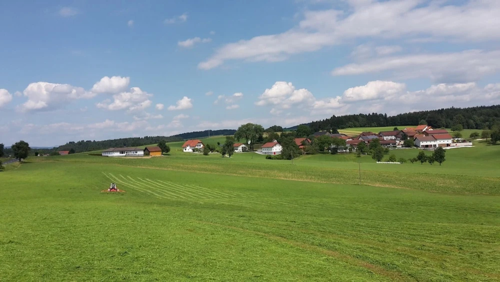 Bungalow Ferienhaus Ortner