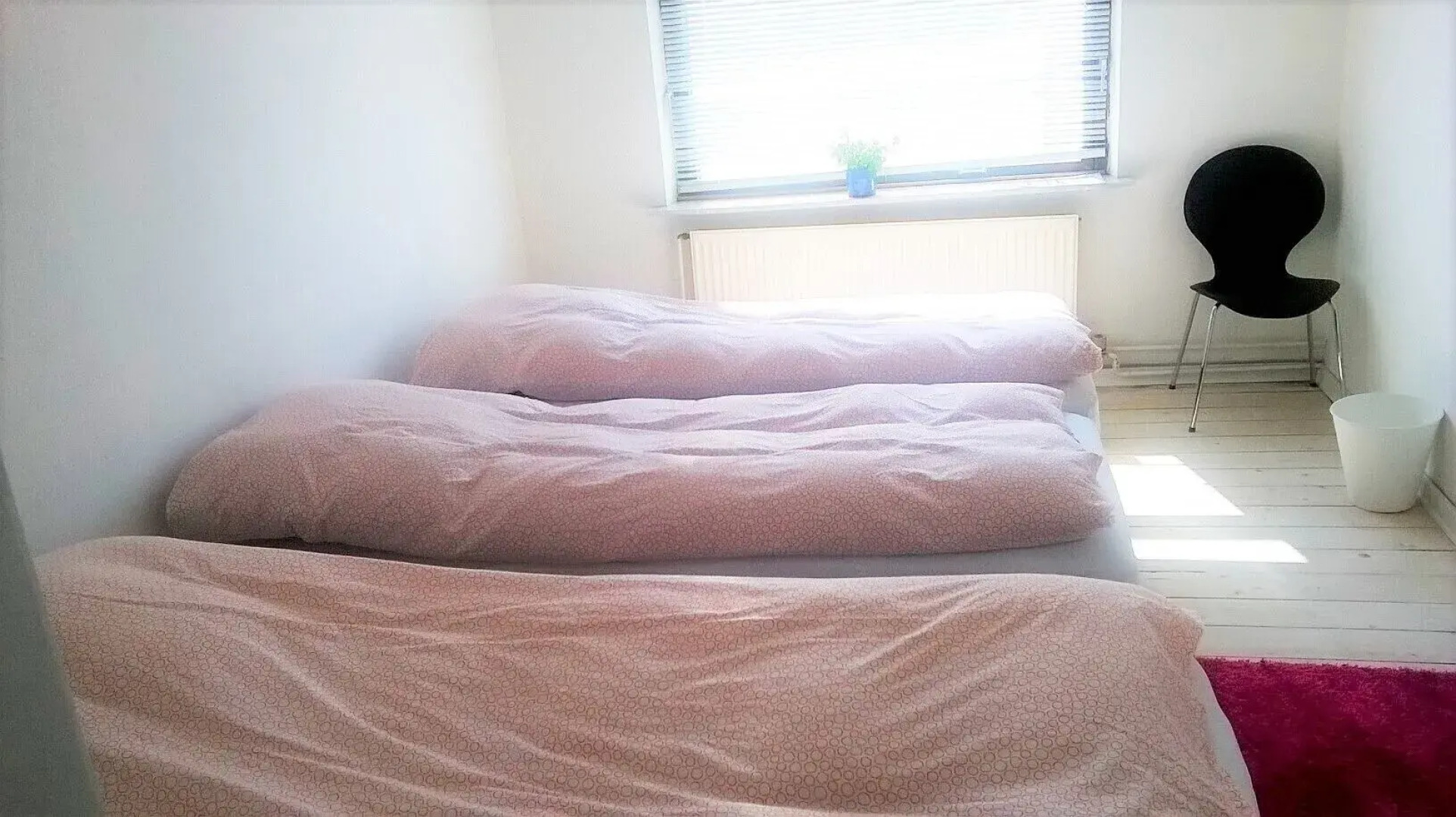 Pasescia Bed and Breakfast