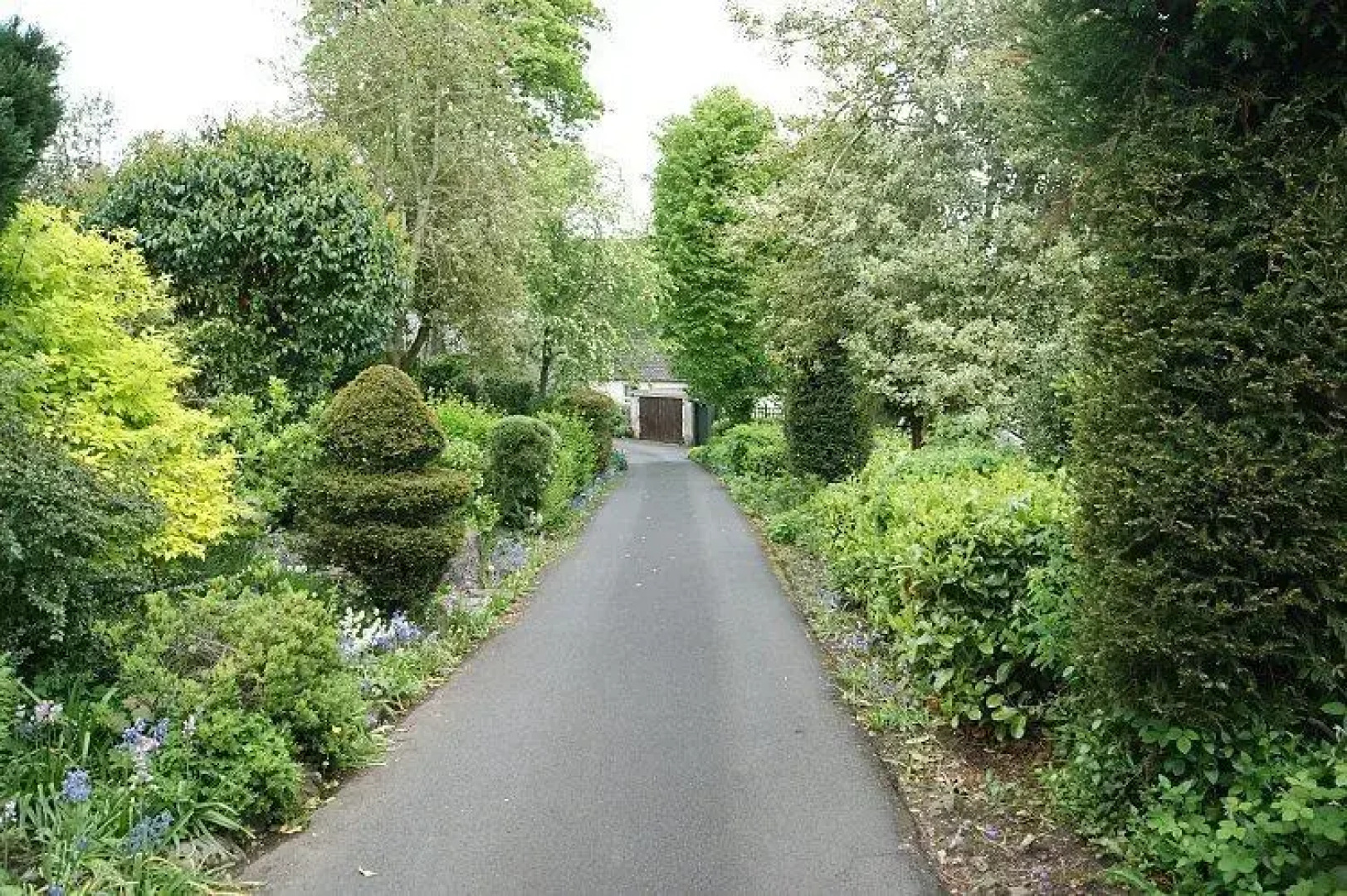 Hopehill Guest House