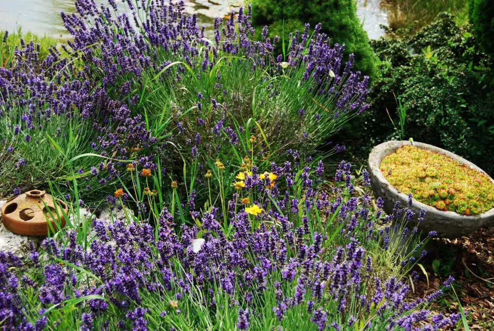 Rigótanya Relax and Wellness