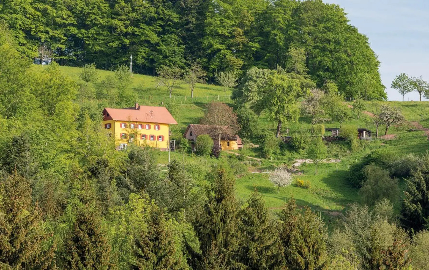 Ferienwohnung Jolly Joker